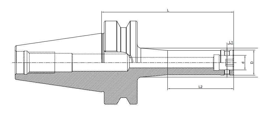تصویری از عیسی B 6339 به هتل هادر